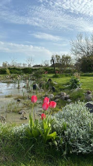 Oesterlen Oasis Spjutstorp المظهر الخارجي الصورة